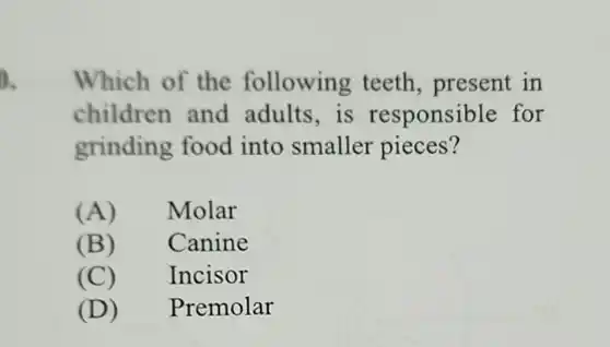 Which of the following teeth, present in children and adults, is responsible for grinding food into smaller pieces? (A) Molar (B) Canine (C) Incisor (D) Premolar