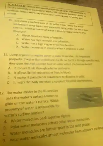 SC.912.L18.12; Discuss the special properties of water that contribute to Earth's sultability as an environment for life: cohesive behavior, abllity to moderate temperature, expansion upon freezing, and versatility as a solvent. 10. Lakes form a surface layer of ice in the winter, while the water underneath stays liquid. The organisms living under the water can survive. Which property of water is directly responsible for this situation? A. Water dissolves many substances. B. Water has high cohesion and adhesion. C. Water has a high degree of surface tension. D. Water decreases in density when it becomes a solid. 11. Living organisms require water in order to survive. An important property of water that contributes to life on Earth is its high specilic heat. How does the high specific heat of water affect the human body? A. It moves fluids through arteries and veins. B. It allows lighter materials to float in blood. C. It makes it possible for substances to dissolve in cells. D. It helps the body maintain a constant internal emuironment. 12. The water strider in the illustration uses the water's surface tension to glide on the water's surface. Which property of water is responsible for water's surface tension? A. Water molecules pack together tightly. B. Polar water molecules attract other water molecules. C. Water molecules are further apart in the solid phase. D. Polar water molecules attract molecules from adjacent surface