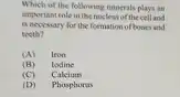 Which of the following minerals plays an important role in the nucleus of the cell and is necessary for the formation of bones and teeth? (A) Iron (B) Iodine (C) Calcium (D) Phosphorus