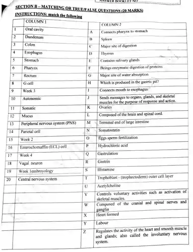 ANSWER BOOKLET NO: ......
 SECTION B - MATCHING OR TRUE/FALSE QUESTIONS (20 MARKS)
 INSTRUCTIONS: match the following
 [ COLUMN 1 COLUMN 2 1 Oral cavity A Connects pharynx to stomach 2 Duodenum B Spleen 3 Colon C Major site of digestion 4 Esophagus D Thymus 5 Stomach E Contains salivary glands 6 Pharynx F Beings enzymatic digestion of proteins 7 Rectum G Major site of water absorption 8 G cell H Which is produced in the gastric pit? 9 Week 3 I Connects mouth to esophagus 10 Autonomic J Sends messages to organs,glands, and skeletal muscles for the purpose of response and action. II Somatic k Ovaries 12 Mucus L Composed of the brain and spinal cord. 13 Peripheral nervous system (PNS) m Terminal end of large intestine 14 Parietal cell N Somatostatin 15 Week 2 0 Eggs sperm fertilization 16 Enterochomaffin (ECL) cell p Hydrochloric acid 17 Week 4 Q Gastrulation 18 Vagal neuron R Gastrin 19 Week lembroyology s Histamine 20 Central nervous system T Trophoblast - (trophectoderm) outer cell layer U Acetylcholine v Controls voluntary activities such as activation of skeletal muscles. w Composed of the cranial and spinal nerves and ganglia Heart formed