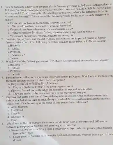 1. You're watching a television program that is discussing viruses called bacteriophages that can kill bacteria. Your roommate says, "Wow, maybe viruses can be used to kill the bacteria that infect people! You're taking the Microbiology course now.what's the difference between viruses and bacteria?" Which one be the most accurate statement to make?
 a. Viruses do not have mitochondria, whereas bacteria do.
 b. Viruses do not have a nucleolus, whereas bacteria do.
 c. Viruses do not have ribosomes, whereas bacteria do.
 d Viruses replicate by binary fission, whereas bacteria replicate by mitosis.
 e. Viruses are prokaryotic whereas bacteria are cukaryotic.
 2. Bacteria, fungi (yeasts and molds), viruses, and protozoa are important causes of human disease. Which one of the following microbes contains either DNA or RNA but not both?
 a.Bacteria
 b. Molds
 c. Protozoa
 d. Viruses
 c. Yeasts
 3. Which one of the following contains DNA that is not surrounded by a nuclear membrane?
 a. Bacteria
 b. Molds
 c. Protozoa
 d. Yeasts
 4. Several bacteria that form spores are important human pathogens. Which one of the following the most accurate statement about bacterial spores?
 a. They are killed by boiling for 15 minutes.
 b. They are produced primarily by gram-negative cocci
 c. They are formed primarily when the bacterium is exposed to antibiotics.
 d. They are produced by anaerobes only in the presence of oxygen.
 5. Bacteria that cause nosocomial (hospital-acquired infections often produce extracellular substances that allow them to stick firmly to medical devices, such as intravenous catheters. Which one of the following is the name of this extracellular substance?
 a. Axial filament
 b. Endotoxin
 C Flagella
 d. Glycocalyx
 e. Porin
 6. Which one of the following is the most accurate description of the structural differences between gram-positive bacteria and gram-negative bacteria?
 a.Gram-positive bacteria have a thick peptidoglycan layer.whereas gramnegative bacteria have a thin layer.
 b. Gram-positive bacteria have an outer lipid-rich membrane whereas gramnegative bact do not.