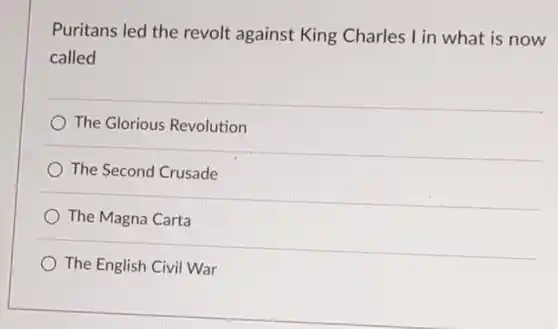 Puritans led the revolt against King Charles I in what is now called
 The Glorious Revolution
 The Second Crusade
 The Magna Carta
 The English Civil War