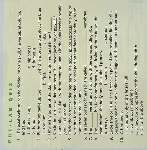 1. The axial skeleton can be divided into the skull, the vertebral column,
and the:
a. thoracic cage
c. hip bones
b. femur
d. humerus
2. Eight bones make up the __ which encloses and protects the brain.
a. cranium
b. face
c. skull
3. How many bones of the skull are considered facial bones? __
4. Circle the correct underlined term. The lower jawbone, or maxilla /
mandible, articulates with the temporal bones in the only freely movable
joints in the skull.
5. Circle the correct underlined term. The body.I spinous process of a typical
vertebra forms the rounded central portion that faces anteriorly in the
human vertebral column.
6. The seven bones of the neck are called __ vertebrae.
7. The __ vertebrae articulate with the corresponding ribs.
8. The __ is a flat bone formed by the fusion of three bones: the
manubrium, the body, and the xiphoid process.
a. coccyx
b. sacrum
c. sternum
9. Circle True or False. The first seven pairs of ribs are called floating ribs
because they have only indirect cartilage attachments to the sternum.
10. A fontanelle:
a. is found only in the fetal skull
b. is a fibrous membrane
c. allows for compression of the skull during birth
d. all of the above