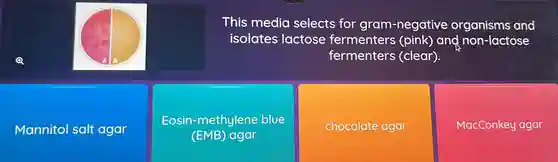 This media selects for gram-negative and
isolates lactose fermenters (pink) and non-lactose
fermenters (clear).
Mannitol salt agar
Eosin-methylene blue
(EMB) agar
chocolate agar
MacConkey agar