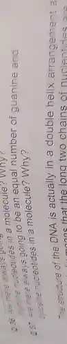 236 Are there always going
thymine nucleotides in a molecule?Why
237 Are mere always going to be an equal number of guanine and
crosine nucleotides in a molecule?Why ?
ent a The structure of the DNA is actually in a double helix arrangemen
oons that the long two chains