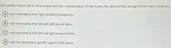 Karl Lashley trained rats to solve a maze and then removed pieces of their brains. He observed that storage of their maze memories
A was restricted to their right cerebral hemispheres.
B was restricted to their left and right frontal lobes.
C was restricted to their left and right temporal lobes.
D was not restricted to specific regions of the cortex.