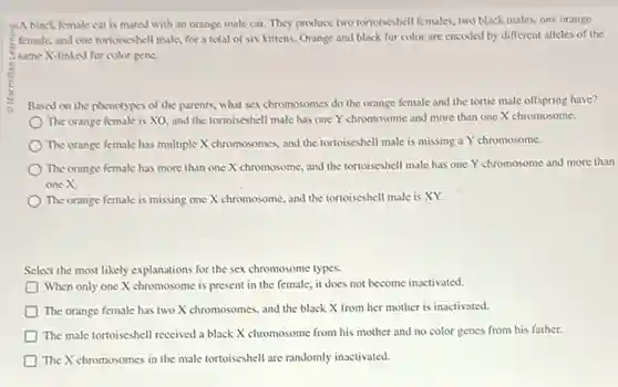 -A black female cat is mated with an orange male cat. They produce two tortoiseshell females, two black males, one orange
female, and one tortoiseshell male, for a total of six kittens. Orange and black fur color are encoded by different alleles of the
same X-linked fur color gene.
Based on the phenotypes of the parents, what sex chromosomes do the orange female and the tortie male offspring have?
The orange female is XO, and the tortoiseshell male has one Y chromosome and more than one X chromosome.
The orange female has multiple X chromosomes, and the tortoiseshell male is missing a Y chromosome.
) The orange female has more than one X chromosome, and the tortoiseshell male has one Y chromosome and more than
one X.
The orange female is missing one X chromosome and the tortoiseshell male is XY.
Select the most likely explanations for the sex chromosome types.
When only one X chromosome is present in the female, it does not become inactivated.
The orange female has two X chromosomes, and the black X from her mother is inactivated.
The male tortoiseshell received a black X chromosome from his mother and no color genes from his father.
The X chromosomes in the male tortoiseshell are randomly inactivated