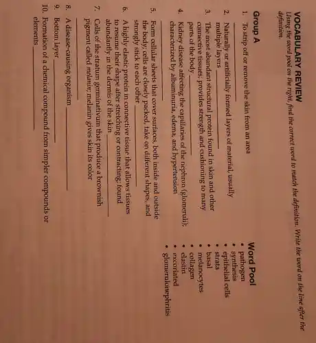 VOCABULARY REVIEW
Using the word pool on the right, find the correct word to match the definition Write the word on the line after the
definition.
Group A
1. To strip off or remove the skin from an area
__
2. Naturally or artificially formed layers of material usually
multiple layers __
3. The most abundant structural protein found in skin and other
connective tissues;provides strength and cushioning to many
parts of the body __
4. Kidney disease affecting the capillaries of the nephron (glomeruli);
characterized by albuminuria, edema , and hypertension
__
5. Form cellular sheets that cover surfaces, both inside and outside
the body; cells are closely packed, take on different shapes, and
strongly stick to each other __
6. A highly elastic protein in connective tissue that allows tissues
to resume their shape after stretching or contracting; found
abundantly in the dermis of the skin __
7. Cells of the stratum germinativum that produce a brownish
pigment called melanin; melanin gives skin its color
__
8. A disease-causing organism __
9. Bottom layer __
10. Formation of a chemical compound from simpler compounds or
elements __
Word Pool
pathogen
synthesis
epithelial cells
strata
basal
melanocytes
collagen
elastin
excoriated
glomerulonephritis