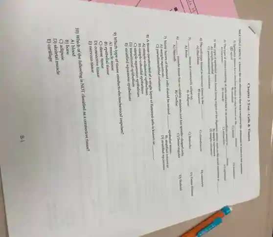 Chapter 3 Test -Cells & Tissues
MULTIPLE CHOICE. Choose the one alternative that best completes the statement or answers the question.
1) Epithelial tissues have one free surface or edge known as the __ surface.
B) attached
D) basement
(1) apical
C) matrix
2) The type of tissue consisting of cells embedded in an extracellular matrix is
__ . tissue.
A) nervous
D) epithelial
B) muscle
C) connective
3) The type of epithelial tissue found lining organs of the digestive system such as the small intestines
__
A)simple cuboidal
B) simple squarnous
C) pseudostratified columnar
D) simple columnar
4) The cell type found in nervous tissue is the
__
A) fibroblast
C) chondrocyte
D) osteocyte
B) neuron
5) __ tissue is commonly called fat.
C) Reticular
D) Dense fibrous
A) Bone
B) Adipose
__
muscle tissue has no visible striations and has spindle-shaped cells.
B) Cardiac
D) Skeletal
C) Dense regular
A) Smooth
7) Many layers of flattened cells should be termed
__ epithelial tissue.
B) stratified columnar
A)simple squamous
D) stratified squamous
C) pseudostratified columnar
8) A tissue constructed of a single layer of flattened cells is known as
__
A) simple columnar epithelium
B) simple cuboidal epithelium
C) simple squamous epithelium
D) transitional epithelium
B) stratified squamous epithelium
9) Which type of tissue conducts electrochemical impulses?
A) muscle tissue
B) epithelial tissue
C) dense tissue
D) connective tissue
E) nervous tissue
10) Which of the following is NOT classified as a connective tissue?
A) blood
B) bone
C) adipose
D) skeletal muscle
E) cartilage