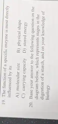 19. The function of a specific enzyme is most directly
influenced by its
A) molecular size
B) physical shape
C) carrying capacity
D) stored energy
20. Base your answer to the following question on the
diagram below which represents stages in the
digestion of a starch, and on your knowledge of
biology.